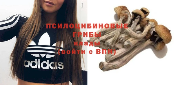 прущие грибы Бородино
