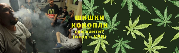 шишки Магадан