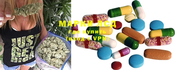 шишки Магадан